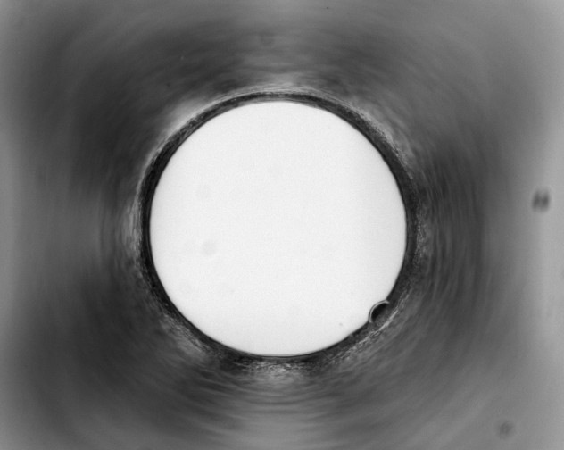 X0000103931270200810101345