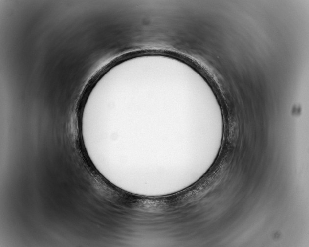 X0000103931271200810101345