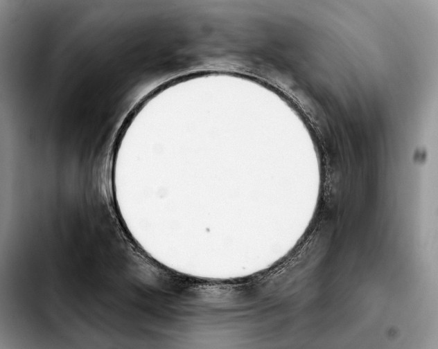 X0000103931272200810101345