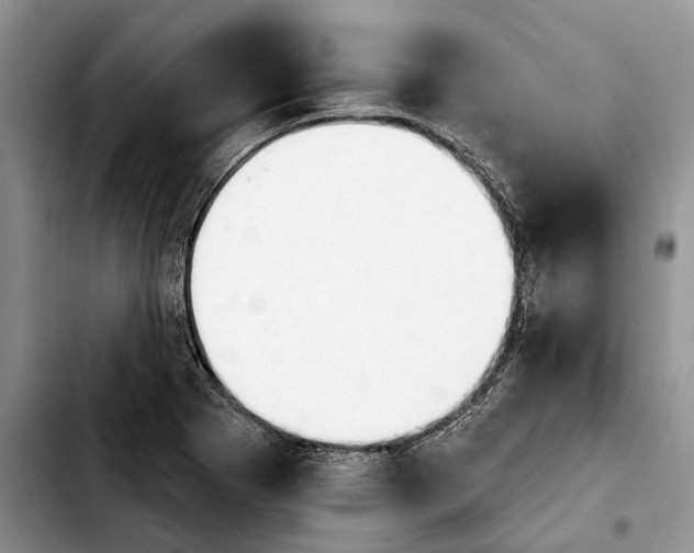 X0000103931273200810101345