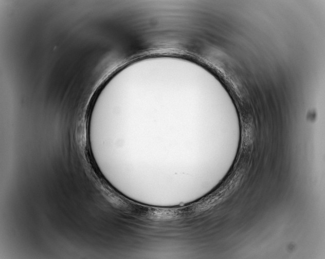 X0000103931274200810101345