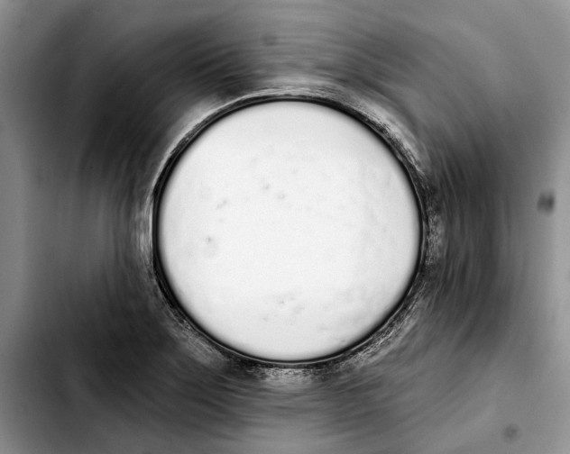 X0000103931275200810101345