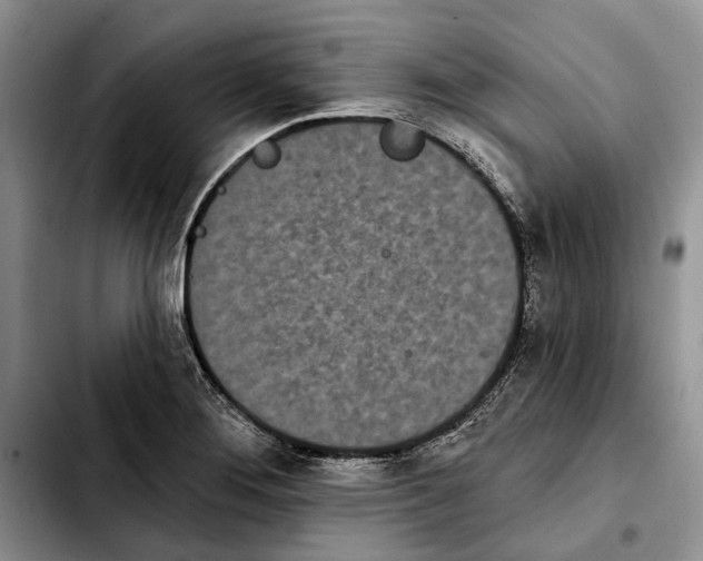 X0000103931276200810101345