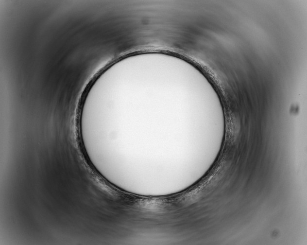 X0000103931278200810101345