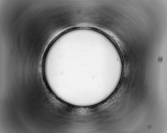 X0000103931279200810101345