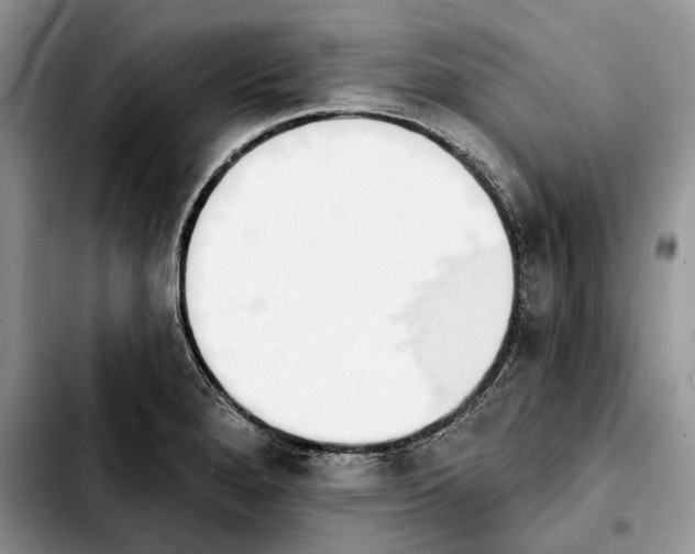 X0000103931280200810101345