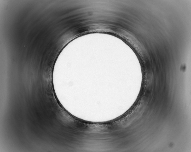 X0000103931281200810101345