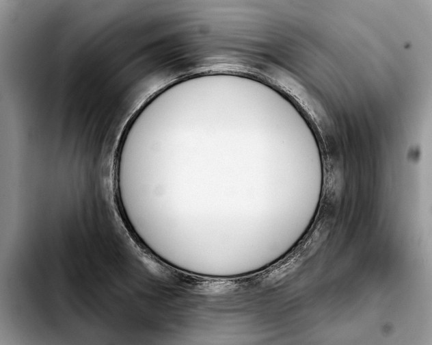 X0000103931282200810101345