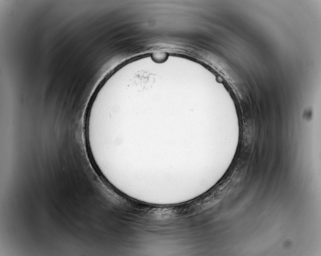 X0000103931283200810101345