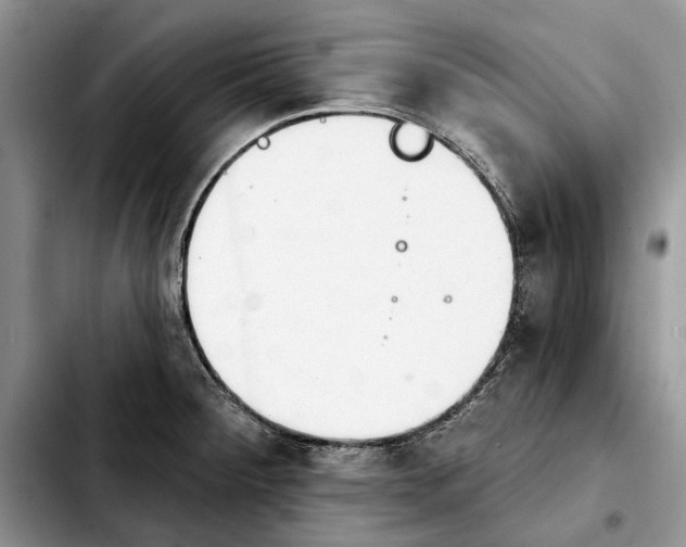 X0000103931284200810101345