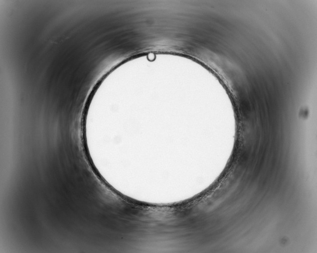 X0000103931285200810101345