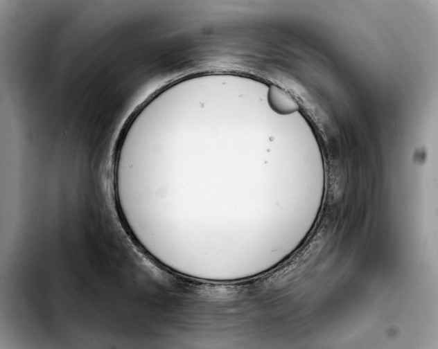 X0000103931286200810101345