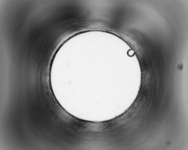 X0000103931288200810101345