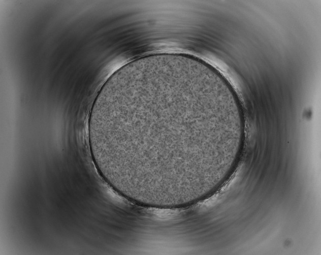 X0000103931289200810101345