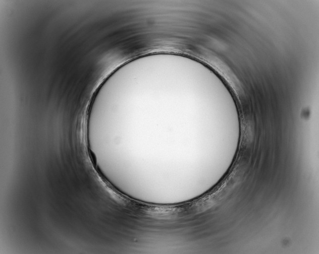 X0000103931290200810101345