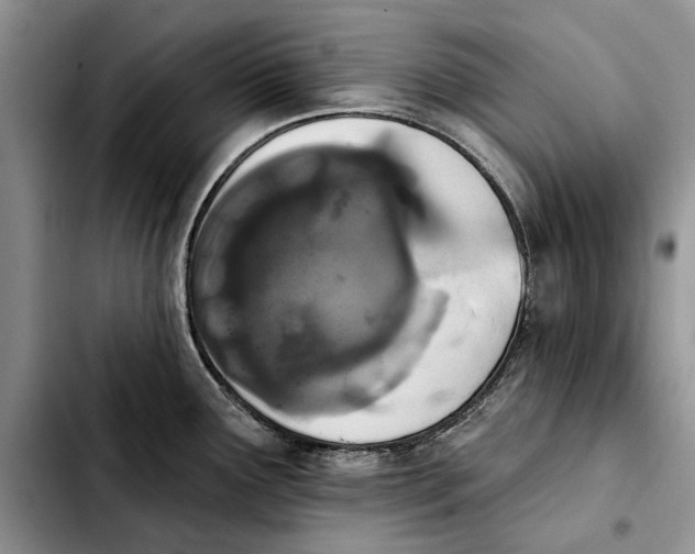 X0000103931291200810101345