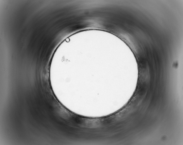 X0000103931292200810101345