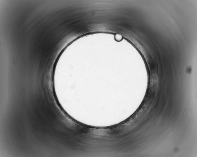 X0000103931293200810101345