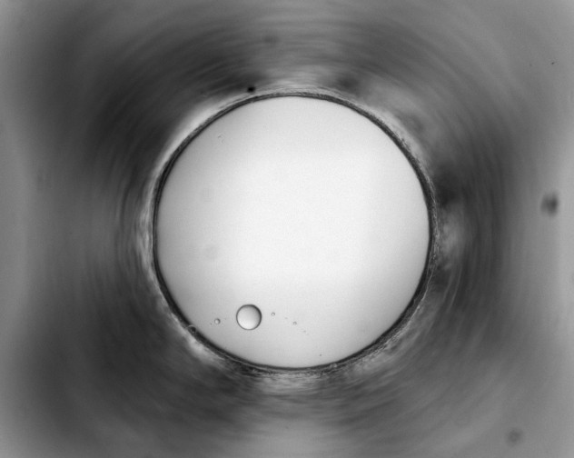 X0000103931294200810101345