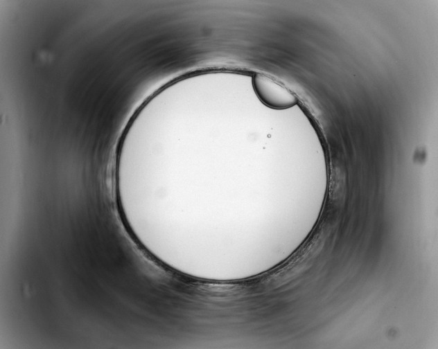 X0000103931295200810101345