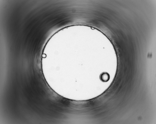 X0000103931296200810101345