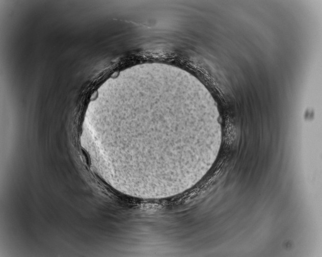 X0000103931297200810101344