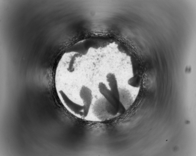 X0000103931298200810101344