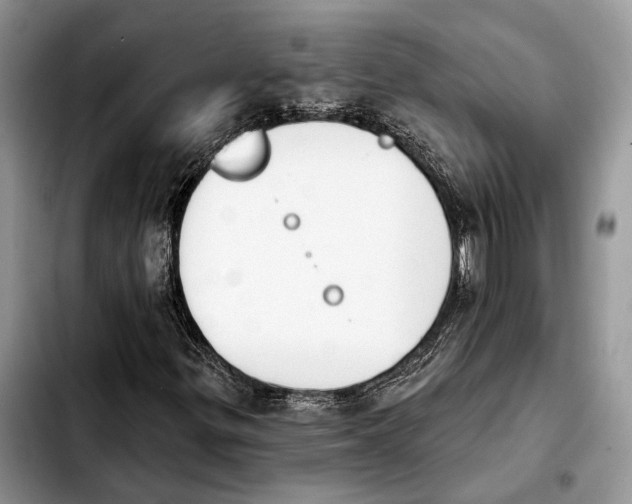 X0000103931299200810101344