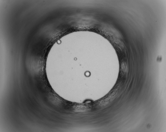 X0000103931300200810101344