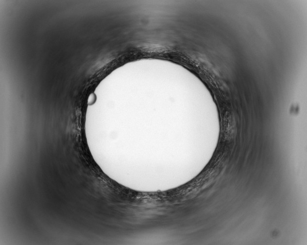 X0000103931301200810101344