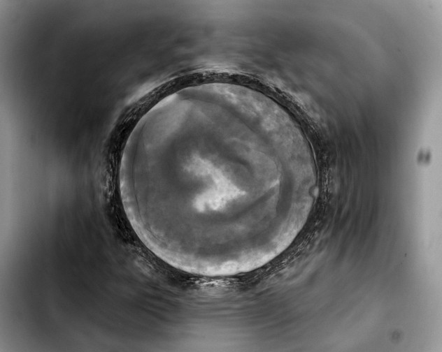 X0000103931303200810101344