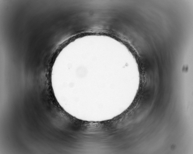 X0000103931304200810101344