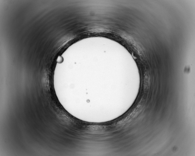 X0000103931305200810101344