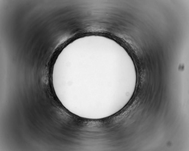 X0000103931306200810101344