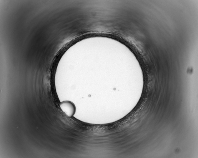 X0000103931307200810101344