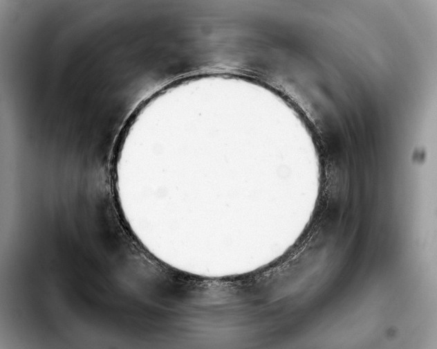 X0000103931308200810101344