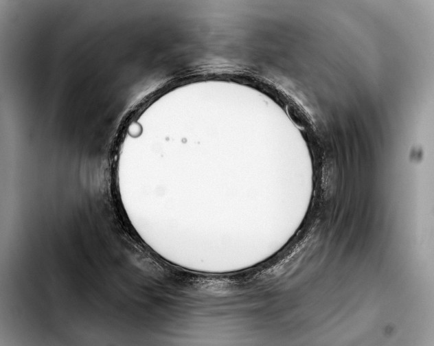 X0000103931309200810101344