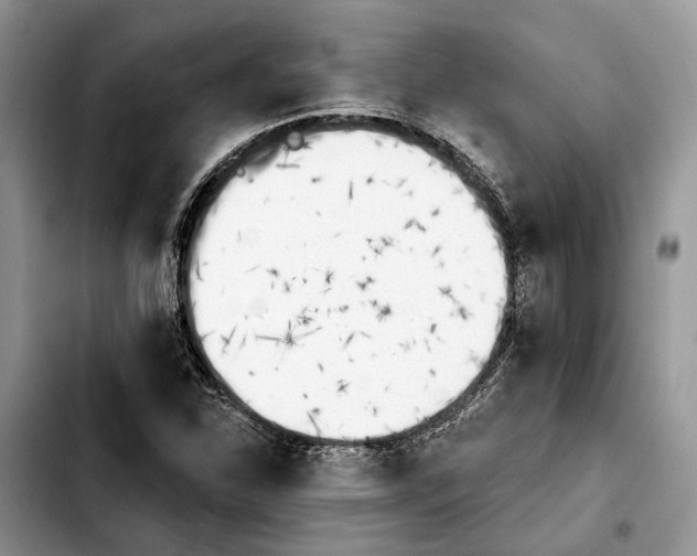 X0000103931310200810101344