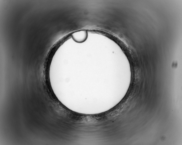 X0000103931311200810101344