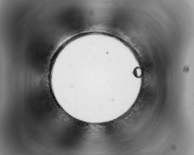 X0000103931312200810101344