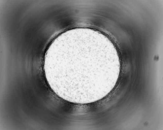 X0000103931314200810101344