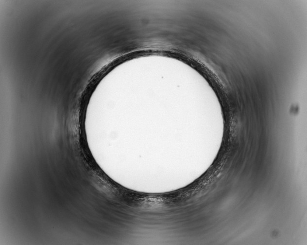 X0000103931315200810101344