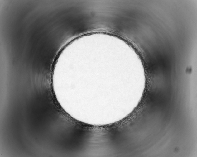 X0000103931316200810101344