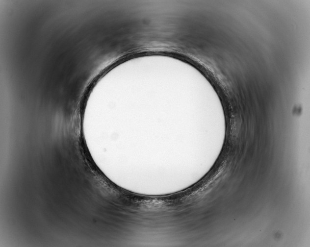 X0000103931317200810101344