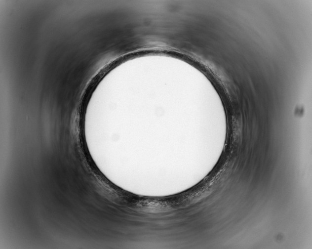 X0000103931318200810101344