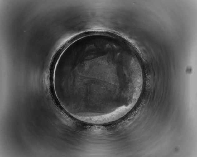 X0000103931319200810101344