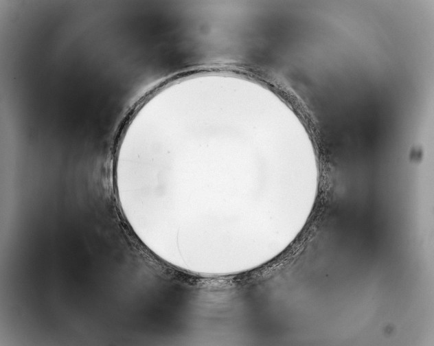 X0000103931320200810101344