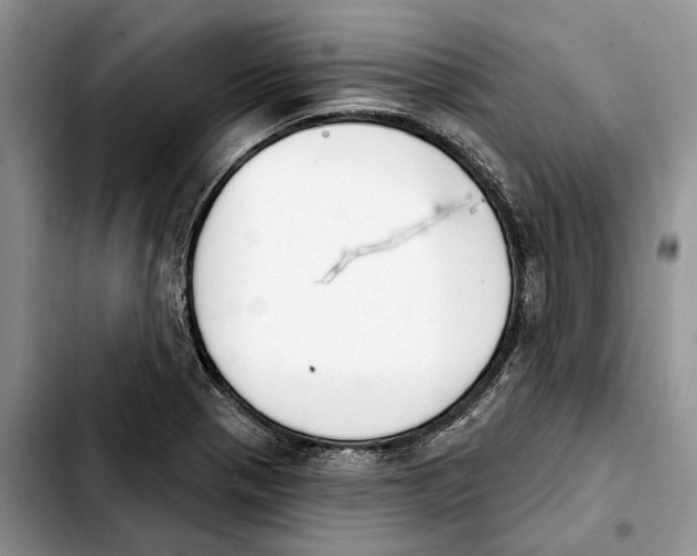 X0000103931321200810101344