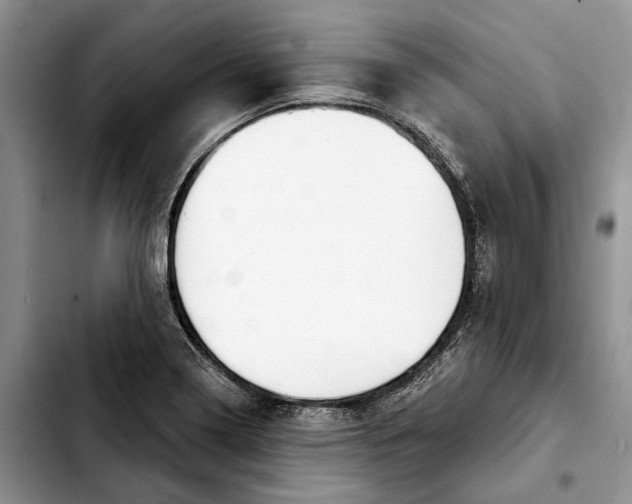 X0000103931322200810101344