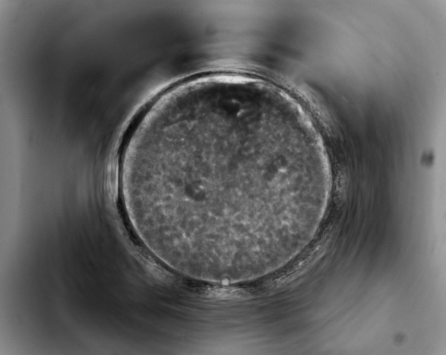 X0000103931323200810101344